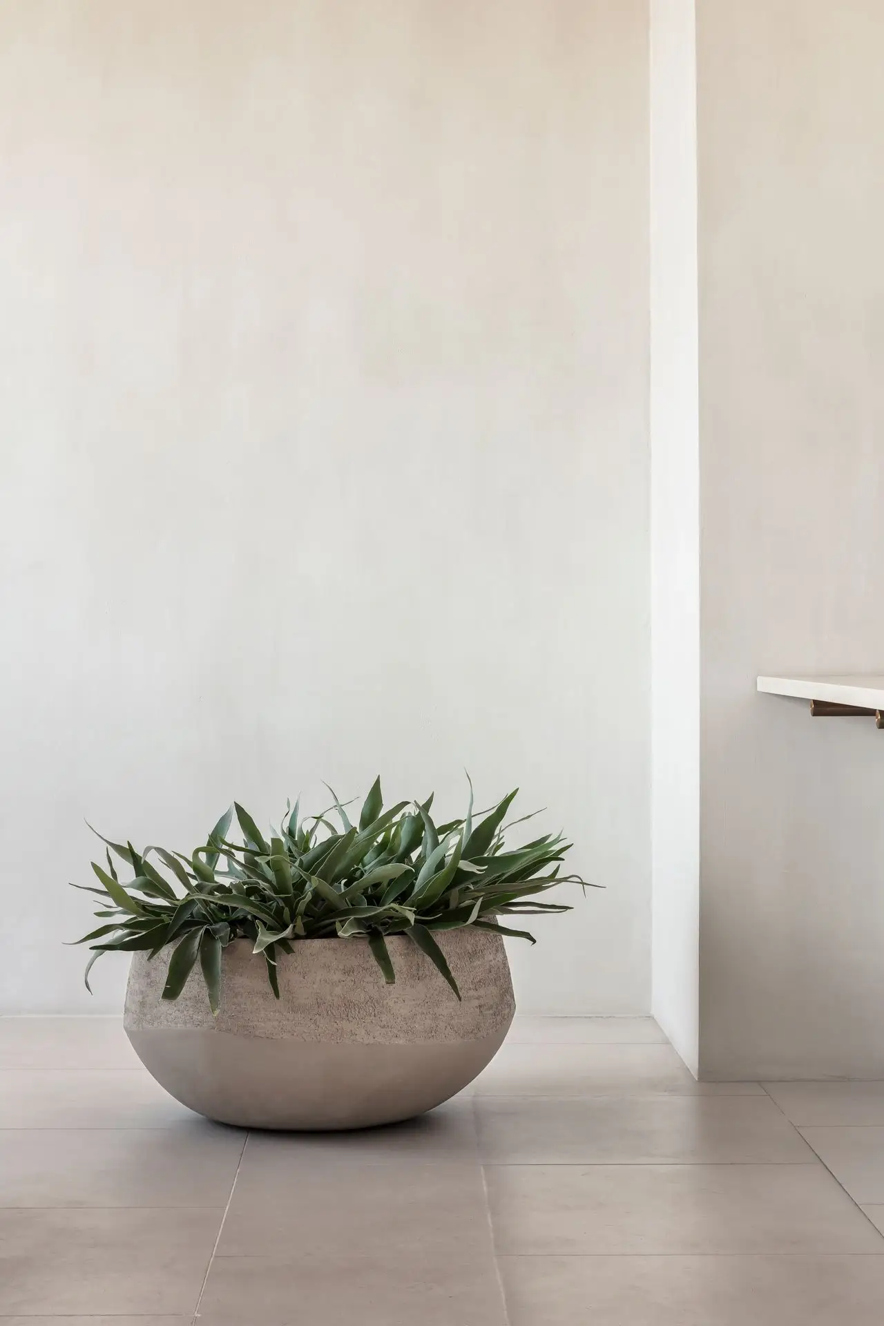 ATLANTIS NATURAL ATLANTIS NATURAL – Image 4