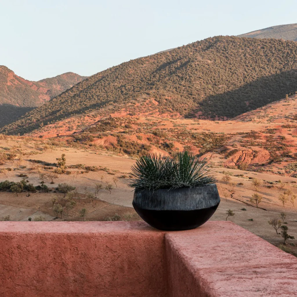 ATLANTIS NATURAL ATLANTIS NATURAL – Image 3