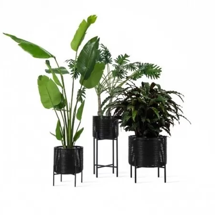 plantenpotten op een rij