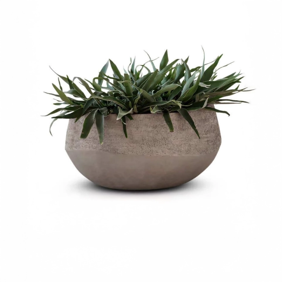 Bloempotten & plantenbakken