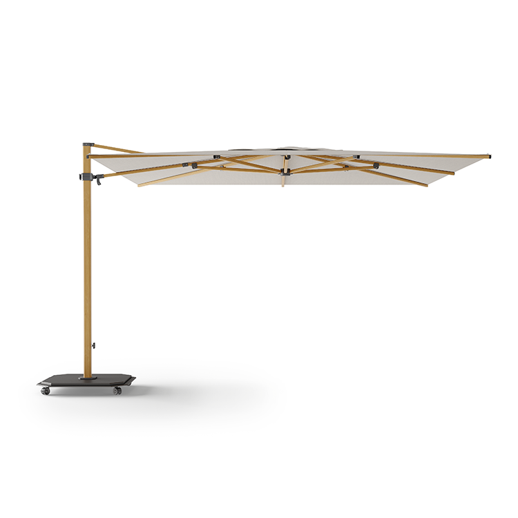 Parasol